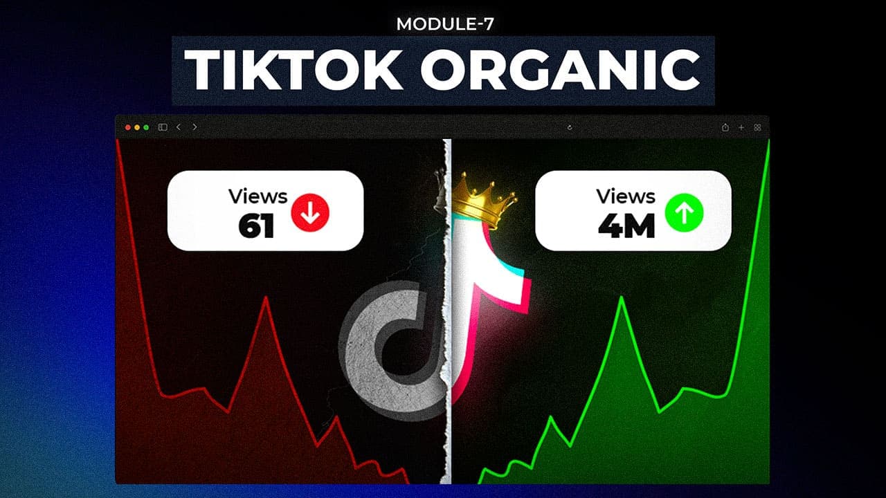 TikTok Organic