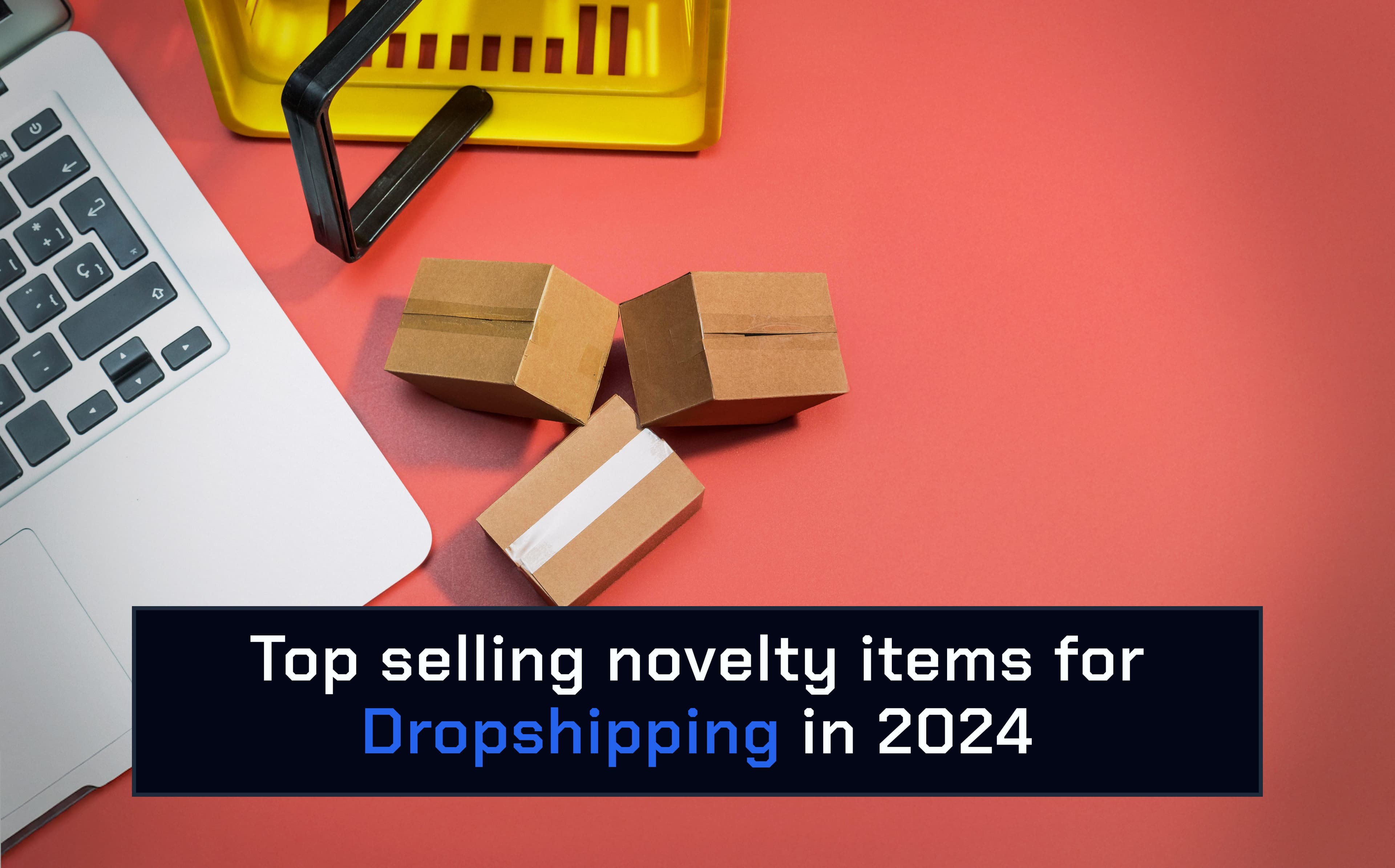 5 Top Selling Novelty Items for Dropshipping in 2024 